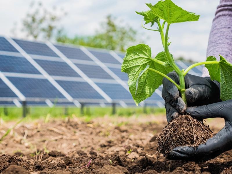 Energia Solar no Agronegócio: Economia e Sustentabilidade para Áreas Rurais